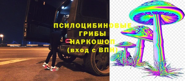 дурь Алексеевка