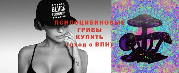 дурь Алексеевка
