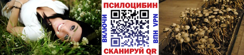 это телеграм Ардатов Галлюциногенные грибы ЛСД