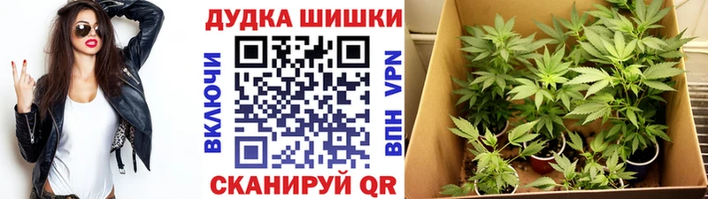 Каннабис White Widow Ардатов
